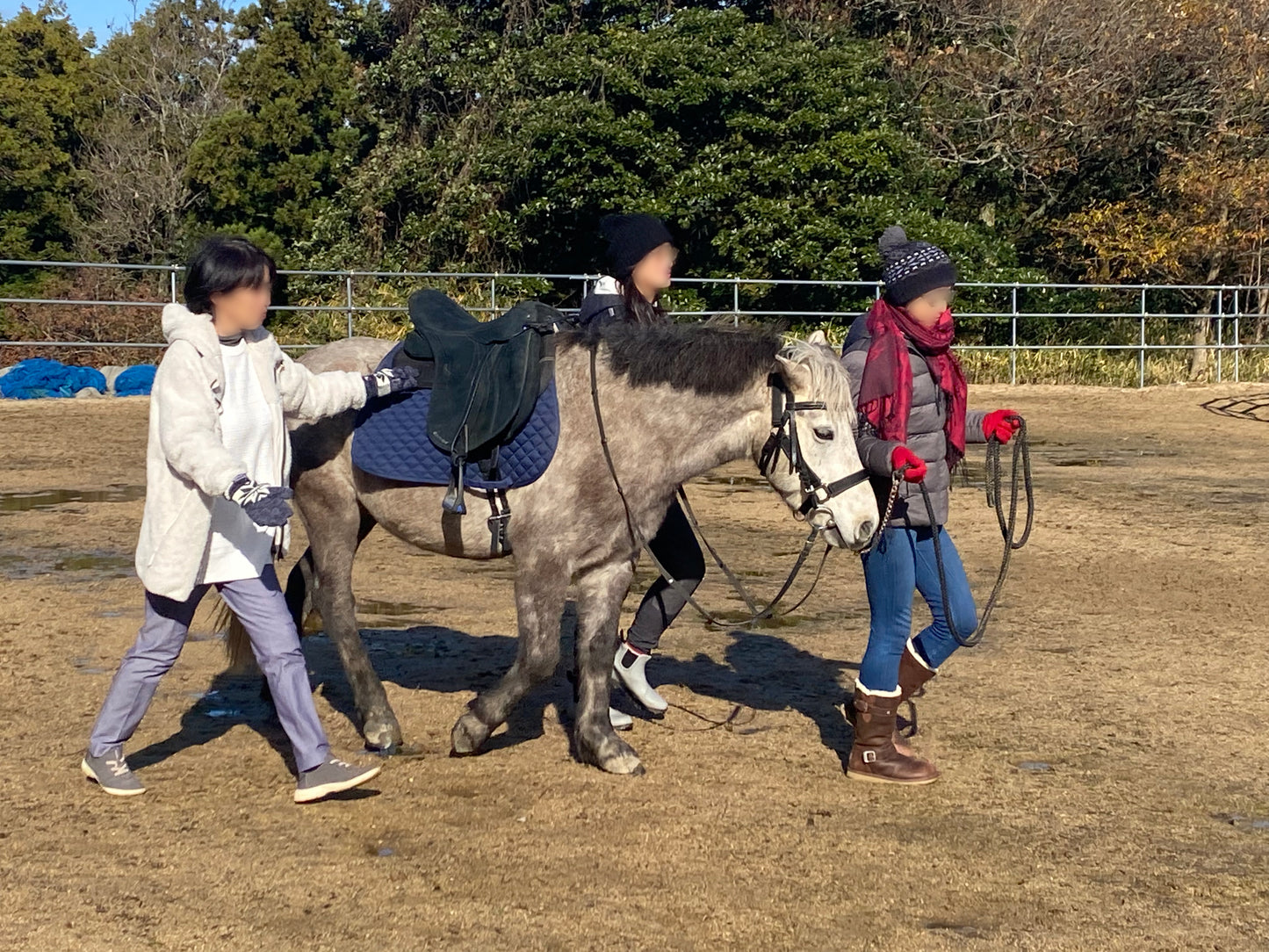 馬のふれあい体験プログラム