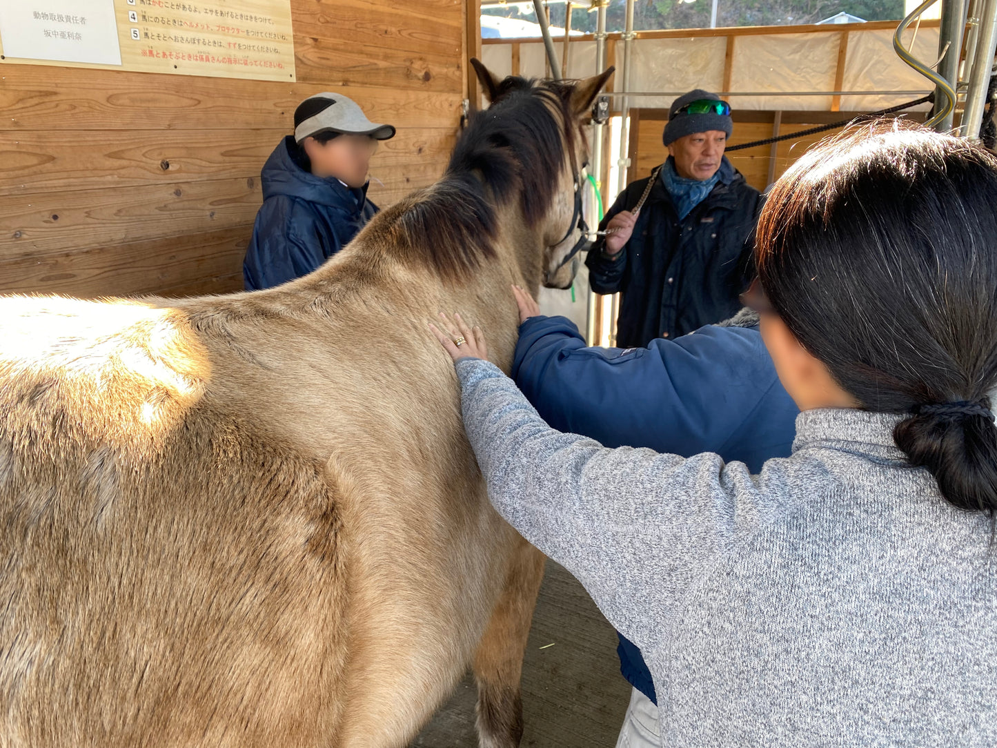 馬のふれあい体験プログラム