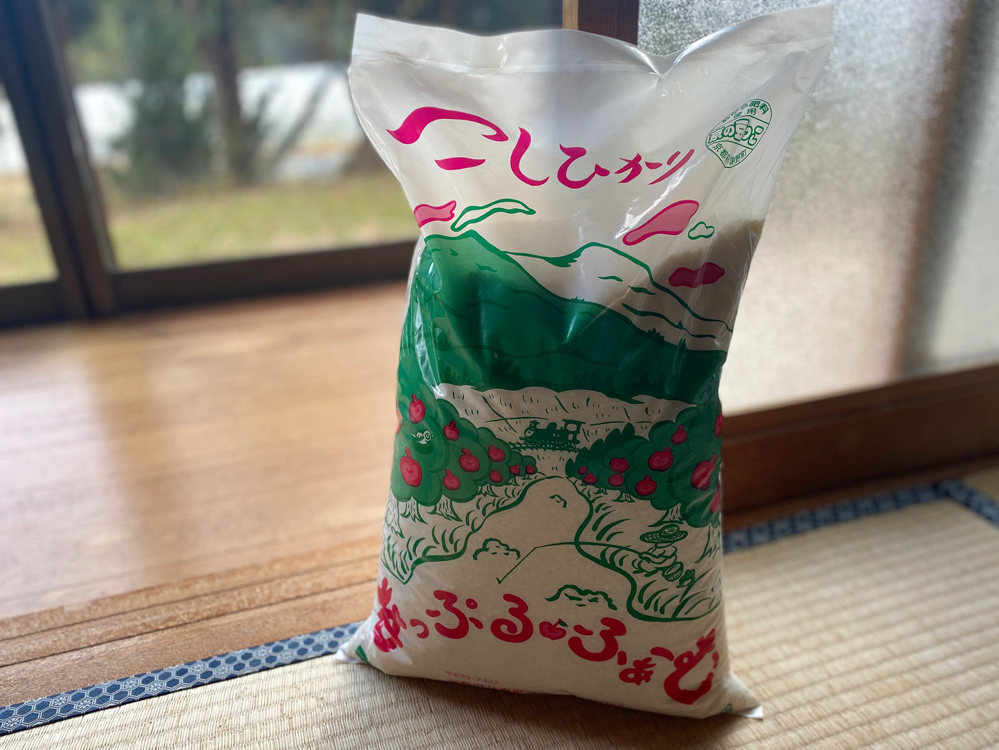 新米 令和7年産 丹後こしひかり「京の豆っこ米」（精米）10kg