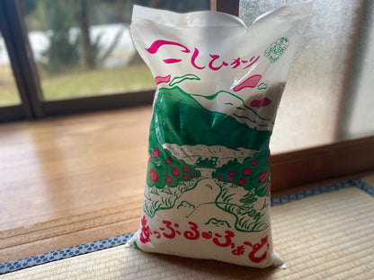 新米 令和7年産 丹後こしひかり「京の豆っこ米」（精米）10kg